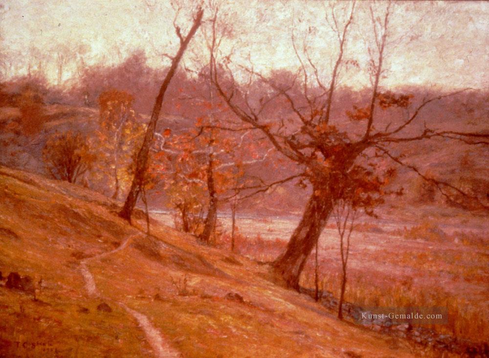 der Blüte der Traube 1893 Impressionist Indiana Landschaften Theodore Clement Steele Ölgemälde